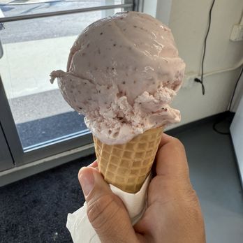 Kelly's Homemade Ice Cream - Strawberry cone - Ice Cream & Frozen Yogurt Near Me - Orlando, Florida Kelly's Homemade Ice Cream - Strawberry cone - Ice Cream & Frozen Yogurt Near Me - Orlando, Florida