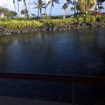 Tidepools - Koi pond. - Hawaiian Near Me - Poipu, Hawaii