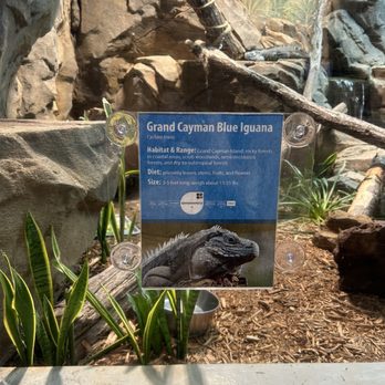 Greensboro Science Center - Zoos Near Me - Greensboro, North Carolina Greensboro Science Center - Zoos Near Me - Greensboro, North Carolina