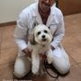 Taylor Matthew G DVM Prestonwood Animal Clinic