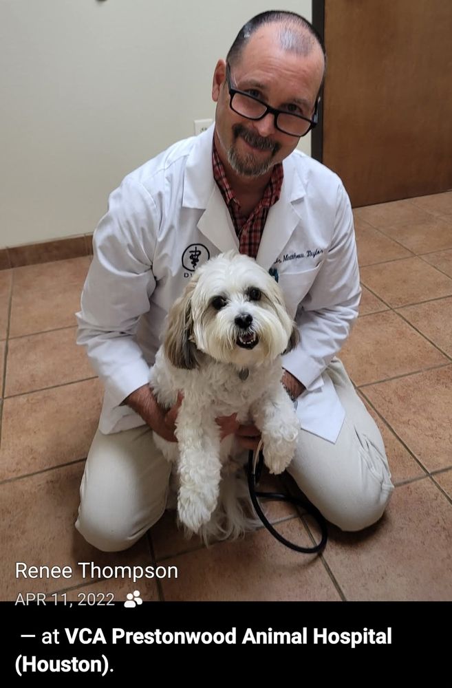 Taylor Matthew G DVM Prestonwood Animal Clinic - pet boarding facility in Houston, TX
