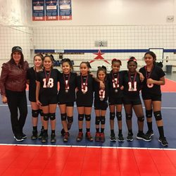Ace Volleyball