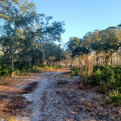 Lake Proctor Wilderness Area