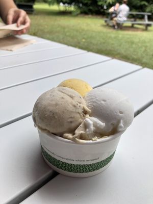Daintree Ice Cream Company by null