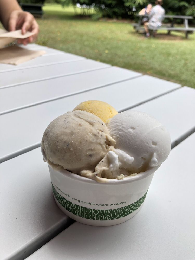 DAINTREE ICE CREAM COMPANY 41 Photos & 14 Reviews Lot, 100 Cape