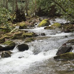 Lamar Alexander Rocky Fork State Park
