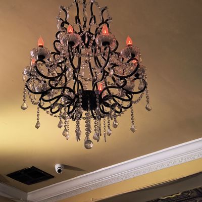 New Orleans Vampire Cafe by null