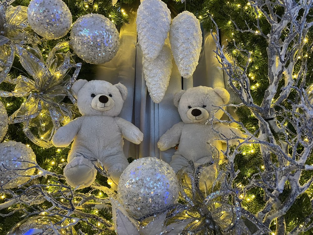 TEDDY BEAR SUITE 23 Photos 411 University St, Seattle, Washington