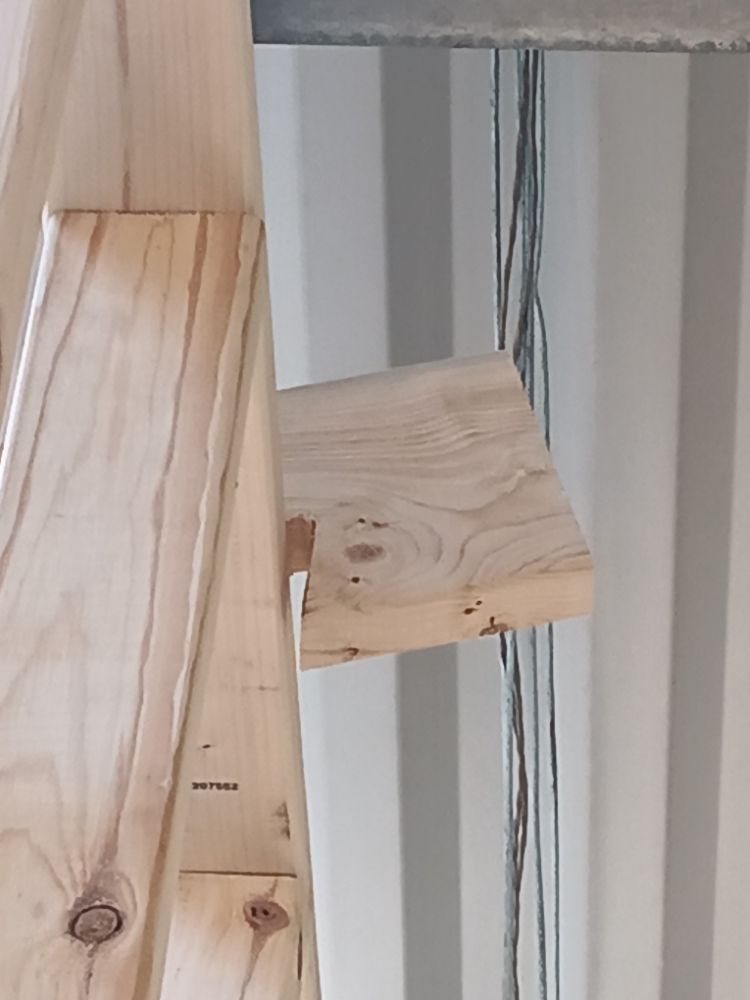 Slide of Beaver Wood Master