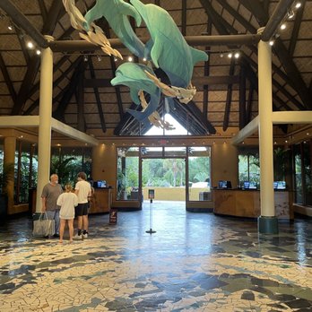 Discovery Cove - Amusement Parks Near Me - Orlando, Florida