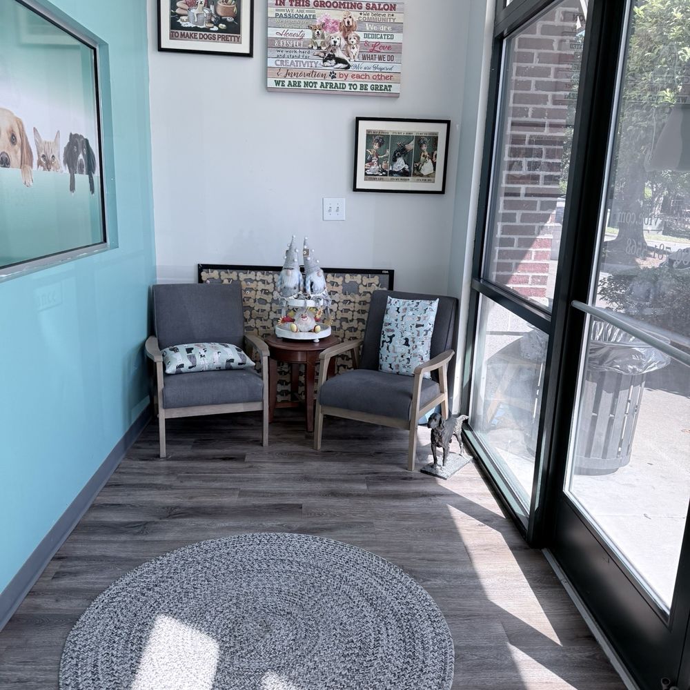 A Pawsitive Vibe Grooming - Inside the lobby - Pet Groomers Near Me - Concord, North Carolina