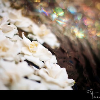 Coquette Events - photo taken by Tauran Woo - Wedding Planning Near Me Coquette Events - photo taken by Tauran Woo - Wedding Planning Near Me
