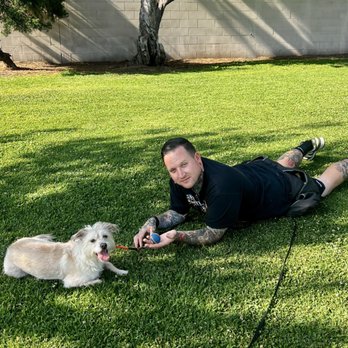 Dog On Fun - Deku & Ian during boarding! - Pet Sitting Near Me - Covina, California