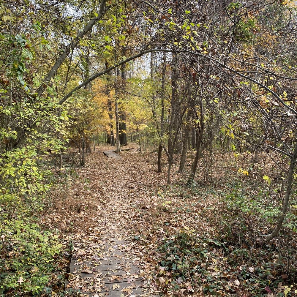 William B Umstead State Park - Trails - Hiking Near Me - Raleigh, North Carolina William B Umstead State Park - Trails - Hiking Near Me - Raleigh, North Carolina