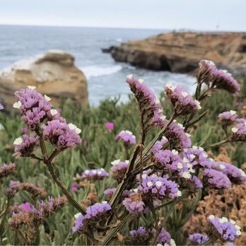 Sunset Cliffs Natural Park - Parks Near Me Sunset Cliffs Natural Park - Parks Near Me