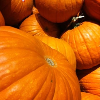 Vons - Halloween Time! - Grocery Near Me - Santa Ana, California