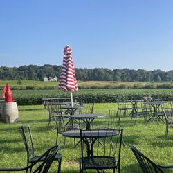 View from the patio... beautiful!