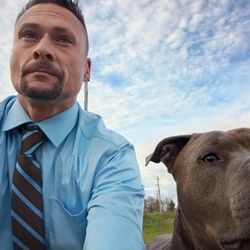 Ace Dog Training