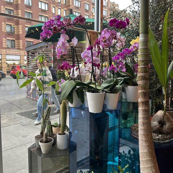 Cafe-Flor - Decor - Coffee & Tea Near Me - New York, New York