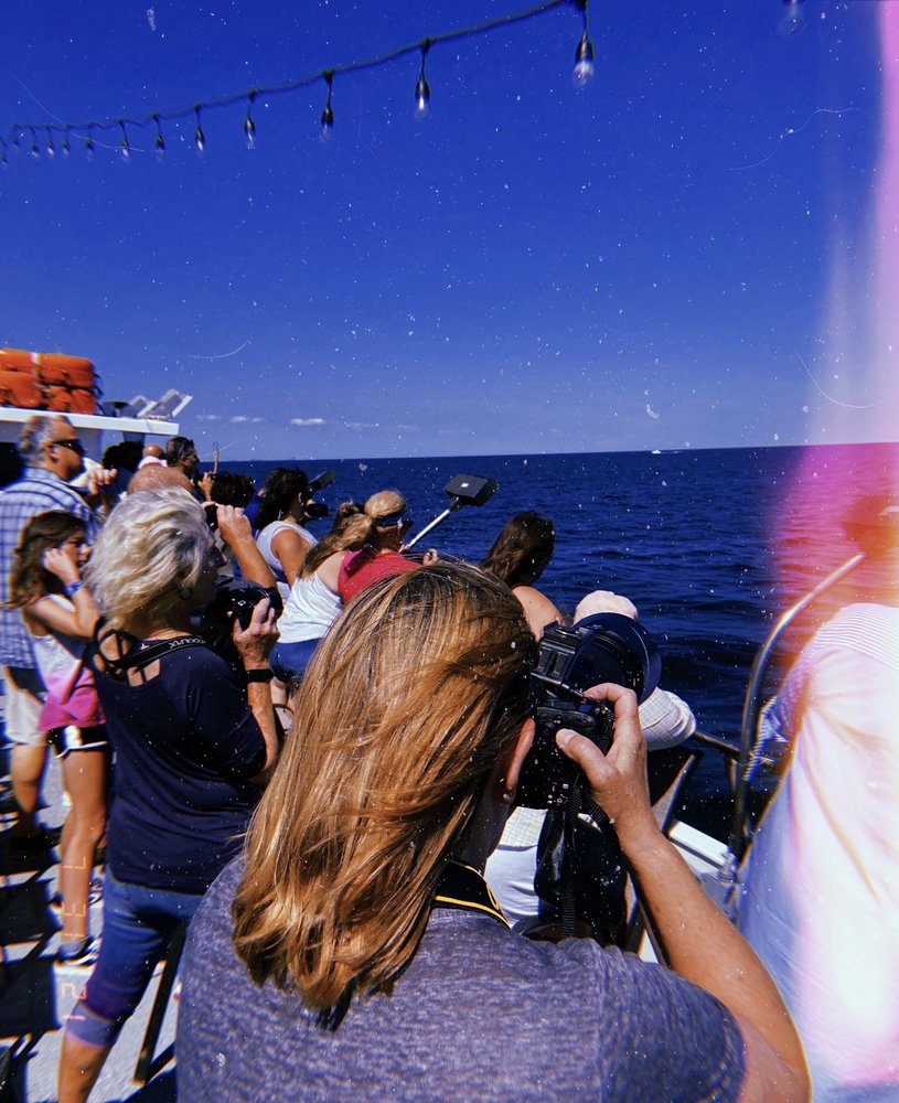 BILL MCKIM’S JERSEY SHORE WHALE WATCH TOUR Updated August 2024 11