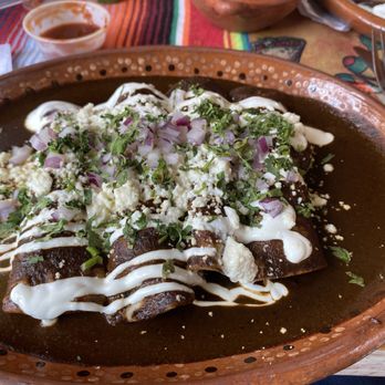 Avocado Cafe Lee - Mole Enchiladas - Mexican Near Me - Lee, Massachusetts
