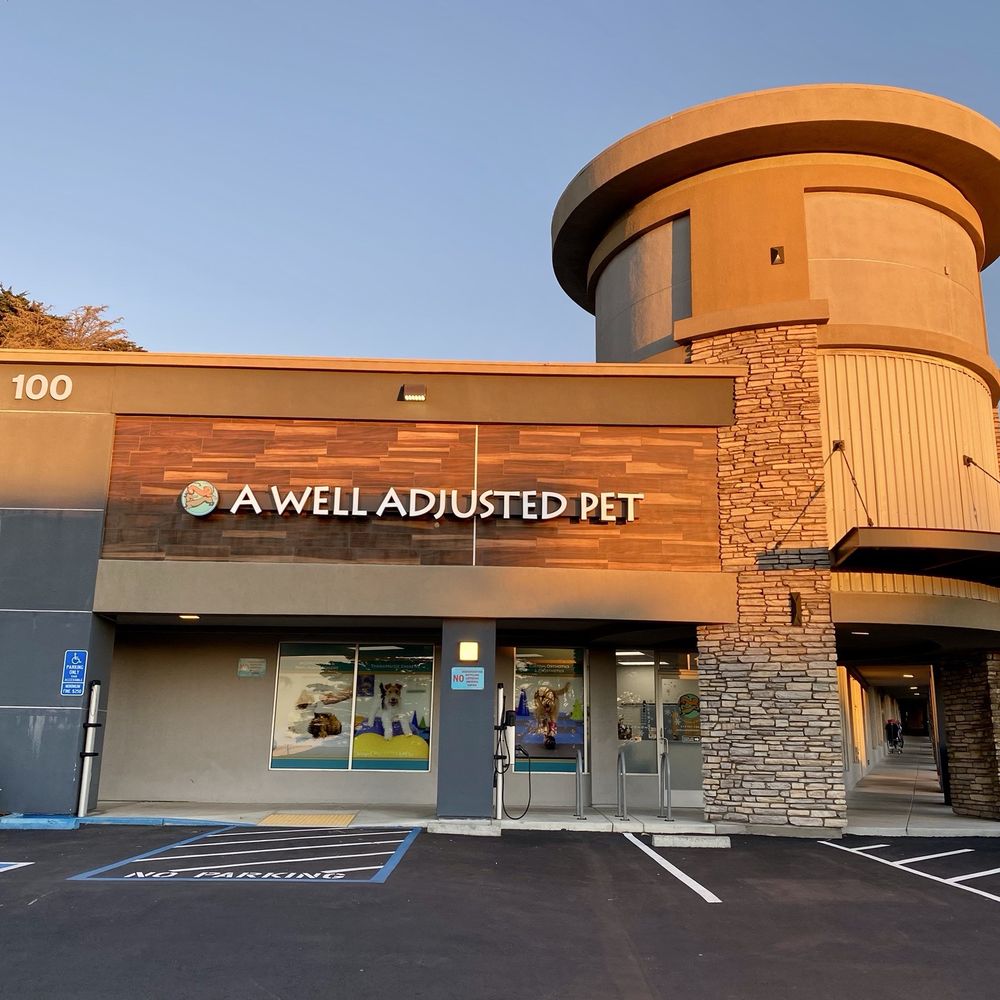 THE BEST 10 Animal Physical Therapy in PETALUMA, CA - A Well Adjusted Pet,  The Sams Clinic, Loscutoff Equine Rescue - Quality & Affordability -  Updated 2026 - Yelp