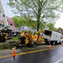 Simkins Tree Service - All the equipment for safe takedown and thorough cleanup