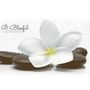 B-Blissful Holistic Wellness and Mobile Vitamin Injections