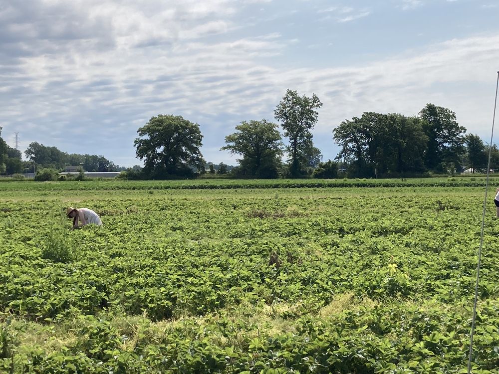 ROWE’S PRODUCE FARM 44 Photos & 21 Reviews 10570 Martz Rd