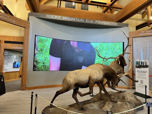 Rocky Mountain Elk Foundation by null