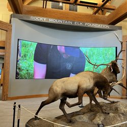 Rocky Mountain Elk Foundation