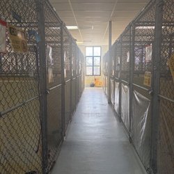 Tulsa Animal Welfare - Kennel area