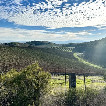 Farm Blanc Et Rouge - View from the walk up the hill on the property - Vacation Rentals Near Me - Paso Robles, California