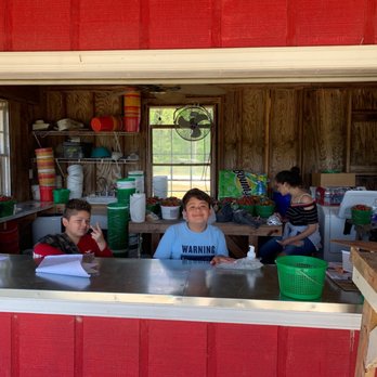 Hunts Strawberry Farm - Great customer service - Pick Your Own Farms Near Me - Raleigh, North Carolina Hunts Strawberry Farm - Great customer service - Pick Your Own Farms Near Me - Raleigh, North Carolina