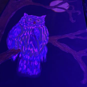 Live Oak Tavern - Blacklight paint night! Before adding black light paint - Venues & Event Spaces Near Me - Loomis, California Live Oak Tavern - Blacklight paint night! Before adding black light paint - Venues & Event Spaces Near Me - Loomis, California