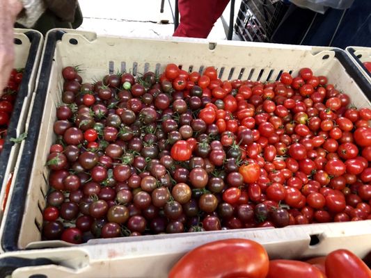 Tompkins Square Park Greenmarket by null
