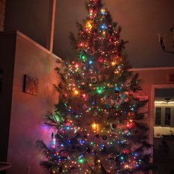 Larsen's Christmas Tree Farms