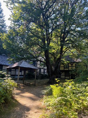 Camlann Medieval Village by null