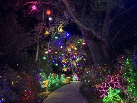 Bellingrath Gardens & Home by null