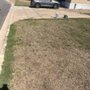 Spacey Junk removal