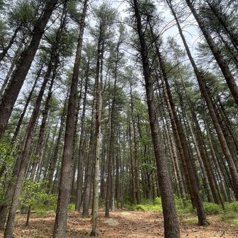 John L Curran State Park - Parks Near Me