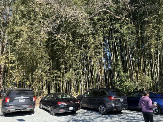 Merritt's Grill by null