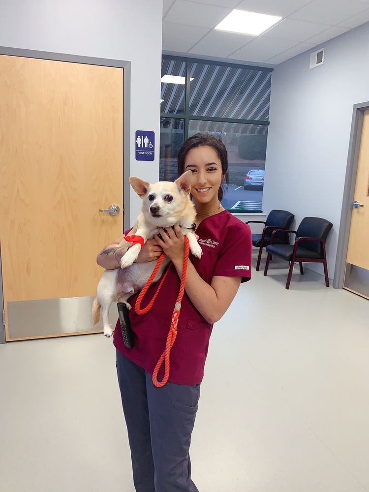 BEST CARE ANIMAL HOSPITAL 56 Photos & 25 Reviews 1730 Matthews