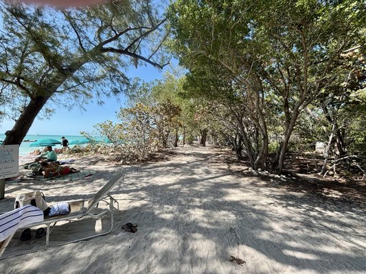 Fort Zachary Taylor Historic State Park Beach by null