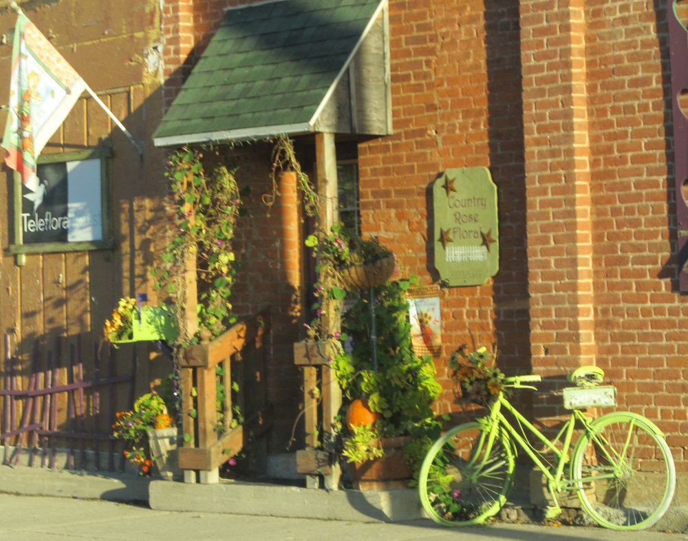 COUNTRY ROSE FLORAL AND GIFTS Updated June 2024 400 N Main St