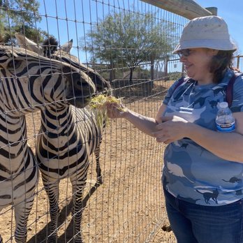 Alpine Acres Sanctuary Farm - Zebras - Ranches Near Me - Alpine, California