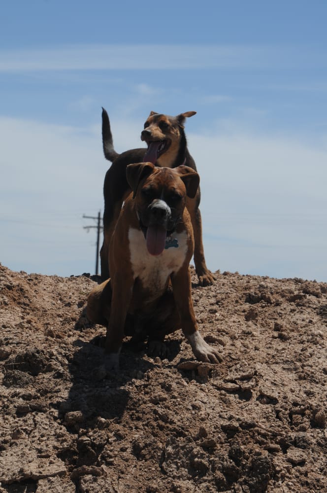 KELLEY’S KENNEL Updated September 2024 26 Reviews 1530 Fairview School Rd, San Angelo