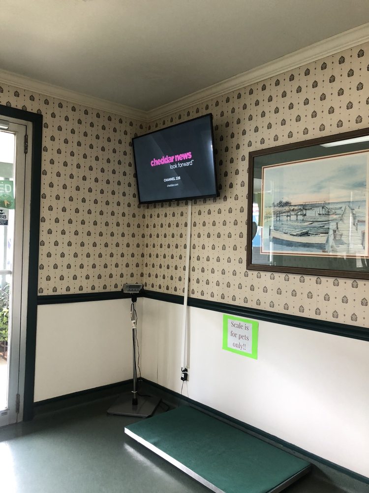 HANDSBORO ANIMAL HOSPITAL Updated September 2024 10 Reviews 1445