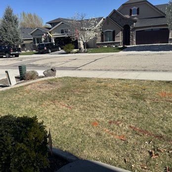 Mountain Tree Service - Right after clean up! - Tree Services Near Me