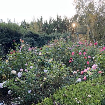 The Madrones - The garden - Guest Houses Near Me - Philo, California